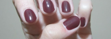 Шоколадный Golden Rose 97