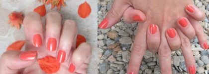 Яркий Golden Rose 95