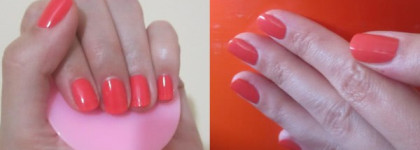 Яркий Golden Rose 95