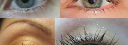 Золотисто-бронзовые тени El Corazon № 48