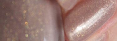 Нежный и элегантный Golden Rose 146