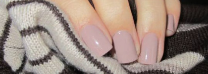 Golden Rose Rich Color 05