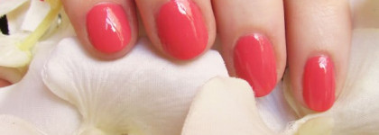 Сочный летний Rimmel Lycra Pro # 313 Cocktail Passion