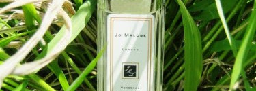 Jo Malone - Verbenas of Provence. Настоящее лето