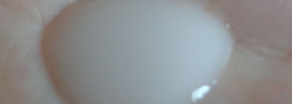 Clarins, Decleor &Shiseido для тонуса и стройности