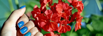 Rimmel Blue eyed girl 840 & Sky High 625