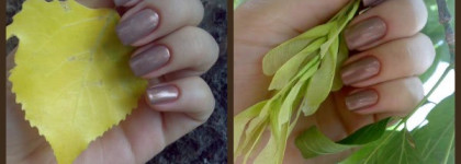 Кофе с молоком от Golden Rose Paris # 226