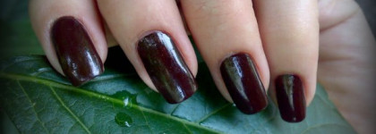 Шоколадка и мятный леденец