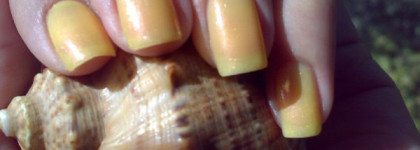 Спорный желтый