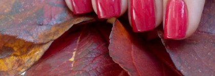 Rimmel  Lycra Pro 352 Posh Spice