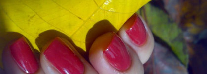 Rimmel  Lycra Pro 352 Posh Spice