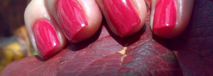 Rimmel  Lycra Pro 352 Posh Spice