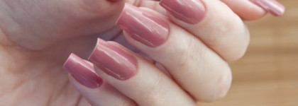 El Corazon - Charm and Beauty №871