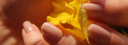 Эксперимент с двумя непослушными Orly