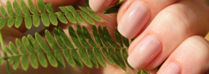 Эксперимент с двумя непослушными Orly