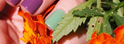 Лак, который невозможно забыть Dior Vernis Garden Party- 694 Forget-me-not & SW 826