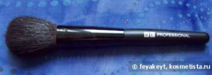 Мои бюджетные кисти (РГ professional,Qvs,Gosh, и пара неизвестных)