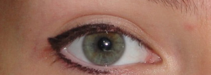 С ними можно даже нырять