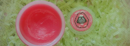 Born Lippy by The Body Shop