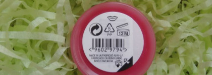 Born Lippy by The Body Shop