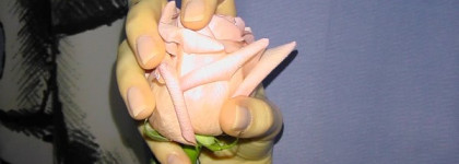 Роскошные длинные ногти с помощью сыворотки для роста ногтей Sally Hansen Nailgrowth Miracle Serum (добавила фото)