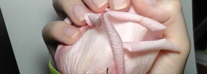 Роскошные длинные ногти с помощью сыворотки для роста ногтей Sally Hansen Nailgrowth Miracle Serum (добавила фото)