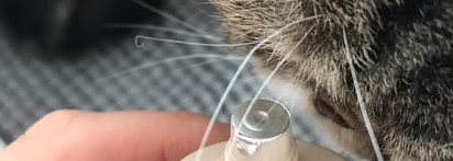 Тональные основы Арт-визаж. Устойчивый тональный крем с увлажняющим комплексом и витамином Е 202 & Увлажняющий тональный крем с комплексом витаминов и экстрактом бурых водорослей 103