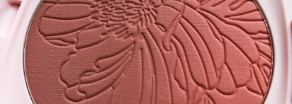 Пока не сняли или Kiko Milano Waterflower magic - blush 02 brown sugar & bronzer 01 warm honey