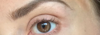 Новая тушь L’Oréal Bambi eye False lash black. Yes or not?