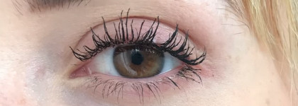Новая тушь L’Oréal Bambi eye False lash black. Yes or not?