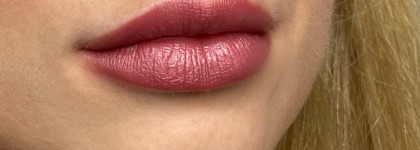 Помады Wild lips by Stellary в оттенках 106, 110, 120, 117, 101