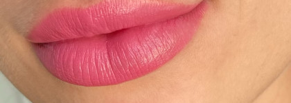 Помады Wild lips by Stellary в оттенках 106, 110, 120, 117, 101