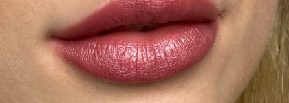 Помады Wild lips by Stellary в оттенках 106, 110, 120, 117, 101