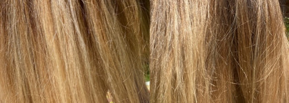 Два чудесных ароматных помощника по уходу за волосами от Ecocraft. Маска Captivating oudh и Серум-сыворотка Rain Fragrance