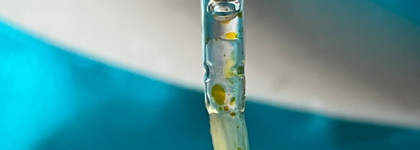 Двухфазное увлажняющее масло Influence beauty Crypto в оттенке 01 непонятое мной