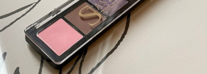 Пожалуй, любимая пташка Warbler tit E33 makeup palette Stasyalex