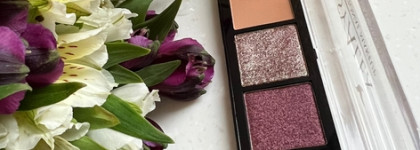 Самая выразительная птичка StasyAlex Teal Enigma E13 makeup palette