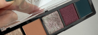 Самая выразительная птичка StasyAlex Teal Enigma E13 makeup palette