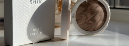 И у меня есть что сказать. Perfect sculptor от Shik