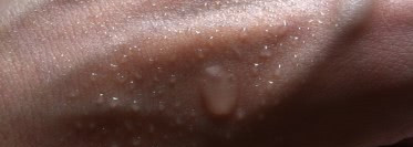 "Японские нежности" по уходу за волосами от Loretta (MoltoBene)