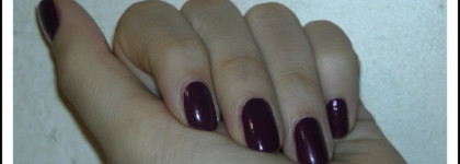 Golden Rose Rich Color