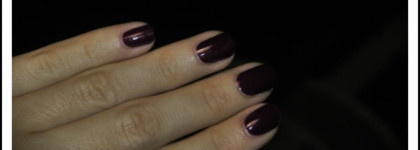 Golden Rose Rich Color