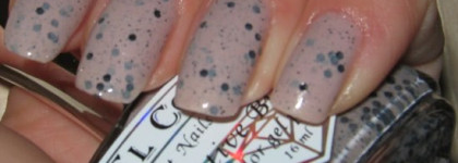 El Corazon "Eggs of wild birds"