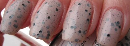 El Corazon "Eggs of wild birds"