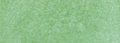 Весенний оттенок теней Catrice Absolute EyeColour #480 Kiwi Wonder