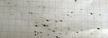 Beyu № 202 Crackling Top Coat