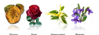 Непослушная Алиса… Туалетная вода Naughty Alice от Vivienne Westwood