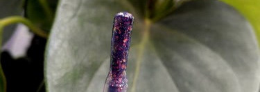 Хватай меня за рукав, мы перегоним мечту, или весна - время перемен