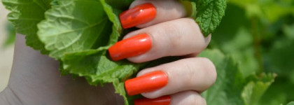 OPI - A Roll In The Hague