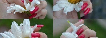 Dance Legend  - 338 + Сушка Jessica Quick Dry